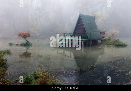 Mystical swamp with trees with a reflection in the water on a foggy morning. Stock Photo