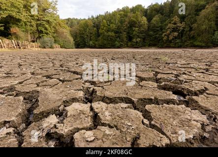 Landscape feature, dried channel river on the forest hill, after long summer drought season Stock Photo