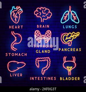 Body Organ Label Set Stock Vector