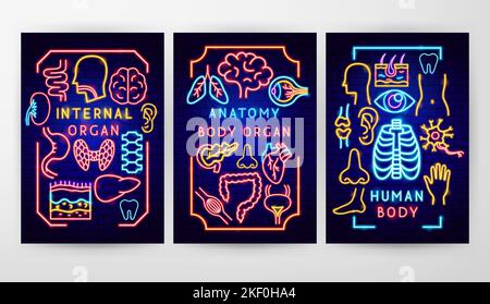 Anatomy Flyer Concepts Stock Vector