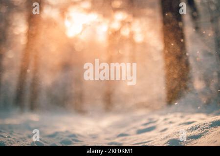 Abstract closeup winter nature, snowing against sunset light defocused background. Selective focus shallow depth of field. Dream inspire frozen winter Stock Photo