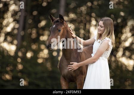 woman and Austrian warmblood foal Stock Photo