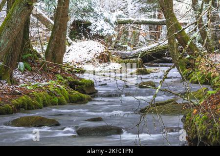 Fresh snow in the woods stream moving water long exposure, copy space outdoors winter background Stock Photo