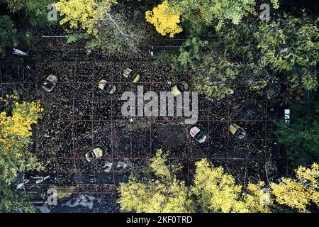Abandoned Amusement Car Ride in Ghost City of Pripyat in Chernobyl Exclusion Zone, Scooter in Autumn Colors from drone view Stock Photo
