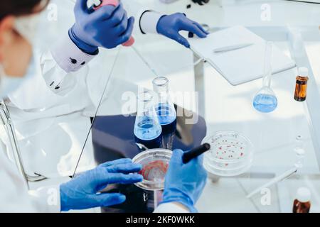 scientists conduct research in a microbiological laboratory. Stock Photo