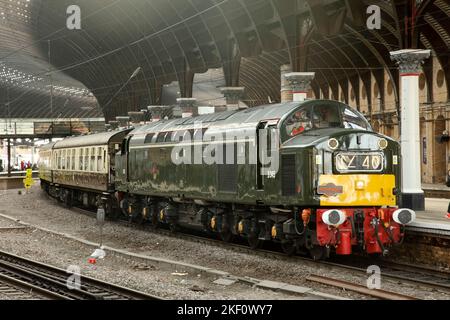 Heritage Class 40 diesel locomotive 40145 waits at York station with the 'Whistling Geordie' tour from Burton-on-Trent to Newcastle on 12/11/22. Stock Photo