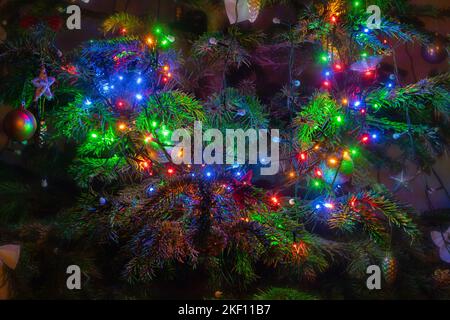 Colorful lights on the christmas tree. Christmas lights garland on the tree branch. Stock Photo