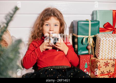 Happy little girl sitting in room full of festive present boxes. Child hold in hands pretty small guinea pig. Winter interior decor for Christmas or Stock Photo