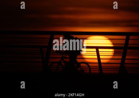 Dresden, Germany. 15th Nov, 2022. A Cyclist Rides Across The 