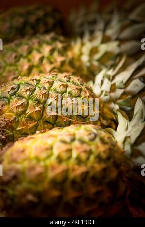 Close, vertical view of a row of whole, fresh uncut pineapples lying on their side in an indoor setting. Stock Photo