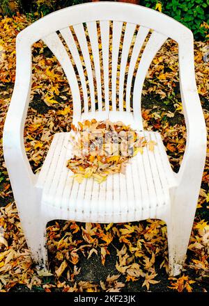 Autumn fallen leaves collect on an old plastic lawn chair in the back yard Stock Photo