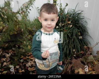 young boy playing in the backyard on a warm day in late autumn, posing among the plants Stock Photo