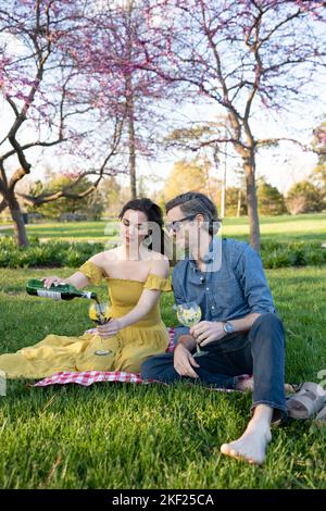 A couple on a checkered picnic blanket in Forest Park with a bottle of wine and red bud trees behind them. Stock Photo