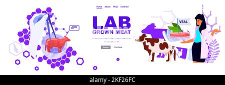 scientist holding cultured red raw veal made from animal cells artificial lab grown meat production concept Stock Vector