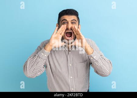 Portrait of handsome crazy businessman with beard loudly screaming holding hand near widely opened mouth, wearing striped shirt. Indoor studio shot isolated on blue background. Stock Photo