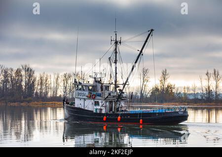 Commercial fishing vessel returning to Steveston Harbour in British Columbia Canada Stock Photo