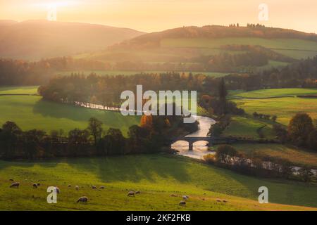 Beautiful landscape view at sunset in Autumn of rolling hills and rural countryside with Old Manor Bridge over the River Tweed near Peebles in the Sco Stock Photo