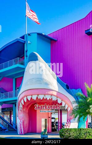 Sharkheads souvenir shop features a shark head entrance and bright pink building, Nov. 13, 2022, in Biloxi, Mississippi. Stock Photo