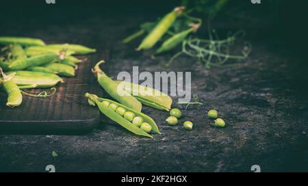 Rural still life - view of the pea crop, selective focus, close-up on a dark background with space for text. The harvest concept Stock Photo