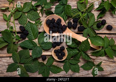 Fresh ripe blackberries in two wooden ladles with green leaves on a rustic background. Flat lay, top view. Stock Photo