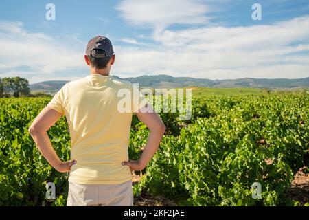 Rear view of a satisfied farmer with hat standing in his vineyard and copy space Stock Photo