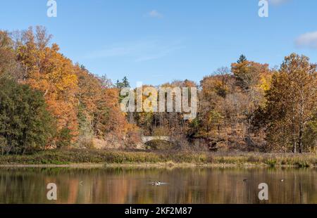 Beebe Lake in autumn on the Cornell University Campus in Ithaca, NY. Stock Photo