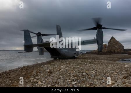 A U.S. Marine Corps MV-22B Osprey assigned to Marine Medium Tiltrotor Squadron (VMM) 265 lands during exercise Keen Sword 23 at Tutsara Island, Kumamoto, Japan, Nov. 14, 2022.  Keen Sword exercises the combined capabilities and lethality developed between the 1st Marine Aircraft Wing, III Marine Expeditionary Force, and the Japan Self Defense Force (JSDF). This bilateral field-training exercise between the U.S. military and JSDF strengthens interoperability and combat readiness of the U.S.-Japan Alliance. (U.S. Marine Corps photo by Pfc. Justin J. Marty) Stock Photo