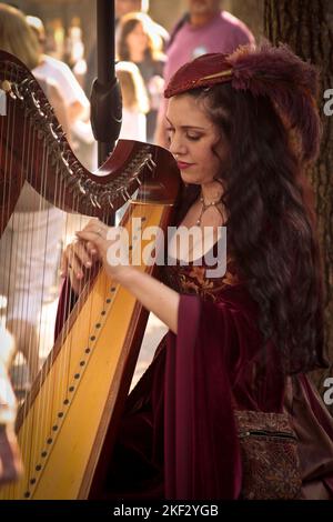 Renaissance Festival Harpist Stock Photo
