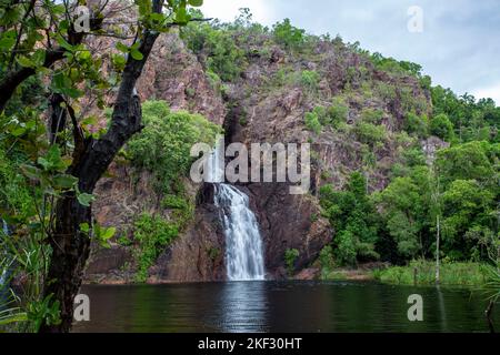 Wangi Falls is a segmented waterfall into a plunge pool on the Wangi Creek, located in Litchfield National Park, Northern Territory, Australia Stock Photo