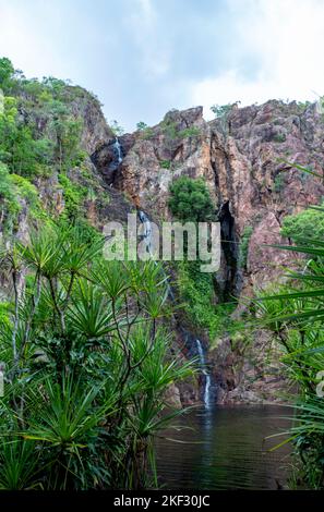 Wangi Falls is a segmented waterfall into a plunge pool on the Wangi Creek, located in Litchfield National Park, Northern Territory, Australia Stock Photo