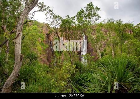 Wangi Falls is a segmented waterfall into a plunge pool on the Wangi Creek, located in Litchfield National Park, Northern Territory, Australia Stock Photo