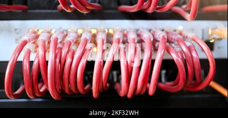 Technology, server room and cables connected to ethernet port or router for network, internet or fiber in data center for connection management Stock Photo