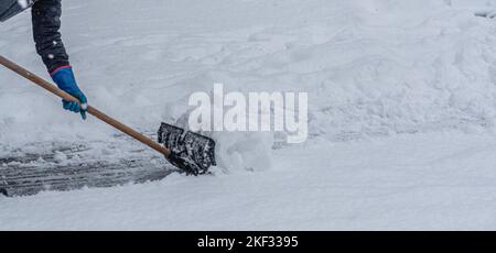 Young man shoveling snow from the walking path in winter. Stock Photo