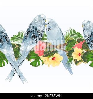 Tropical border seamless background blue pet parakeets Budgerigars and hibiscus vintage vector Illustration for use in interior design, dishes, clothi Stock Vector