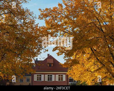 Contance, Germany - October 8th 2022: Big trees in autumnal colours in front of a wine red house Stock Photo