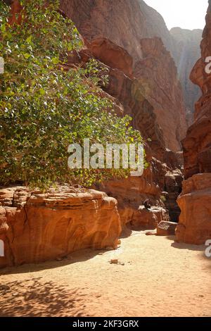 A gorge at the Wadi Rum desert UNESCO world Heritage Protected area. Populated by Bedouin families Stock Photo