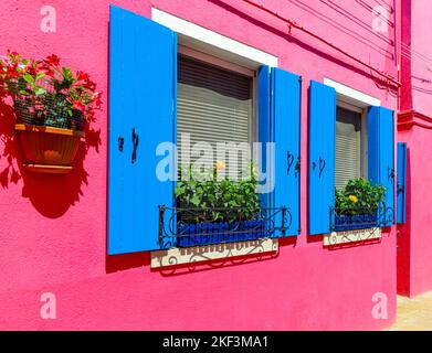 Flower pots decorate on the walls and blue windows of the pink house. Colorful architecture in Burano Island, Venice, Italy Stock Photo