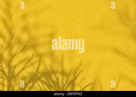 Palm leaves shadow on yellow concrete wall texture background Stock Photo