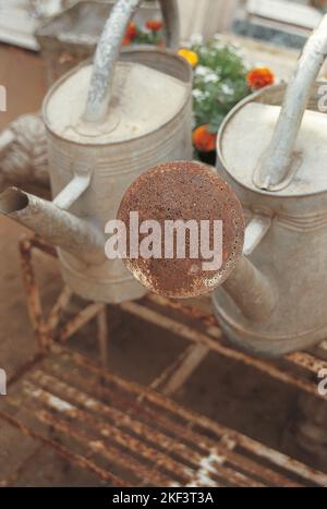 Old watering cans on a metal stair structure Stock Photo