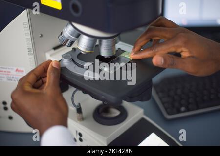 A university student using a microscope Stock Photo