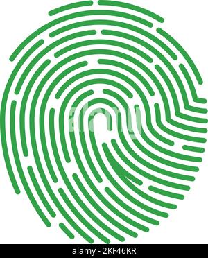 Green fingerprint. Approved authentication. Succesful login icon Stock Vector