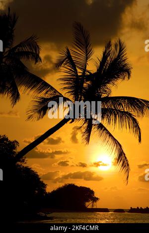 Sonnenuntergang am Traumstrand, Karibik, Stock Photo