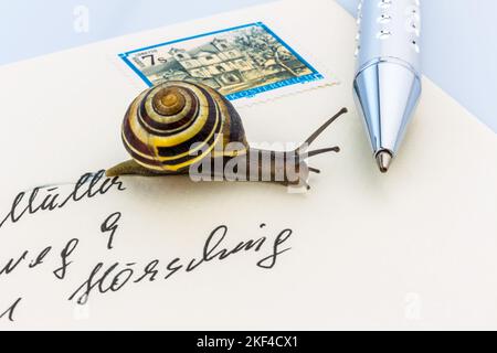 Schneckenpost, Eine Schnecke kriecht auf einem Briefumschlag, Symbolfoto, Stock Photo