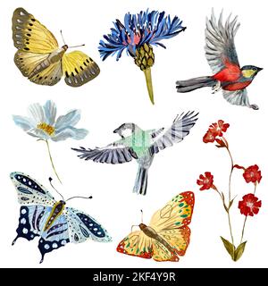 Flower butterfly bird set a watercolor sketch Stock Photo