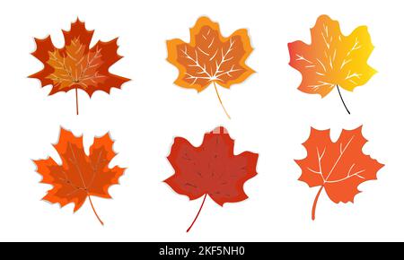 Autumn leaf. Autumn maple leaf isolated on a white background. Vector illustration Stock Vector