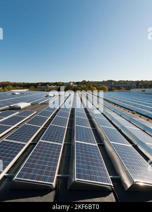 Looking over a large array of solar panels on a roof in the warm summer light under a blue sky producing electrical power. Stock Photo