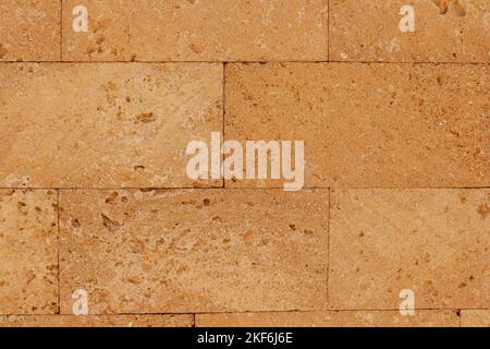 limestone wall texture with seashells. textured background Stock Photo