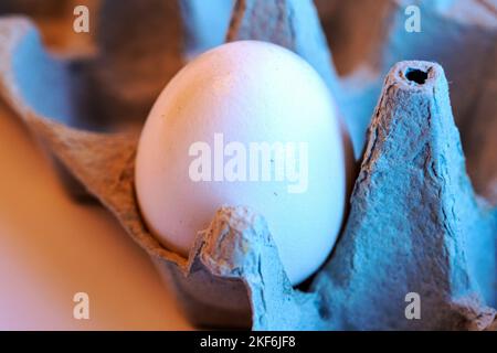 Close-up of one white egg in a paper tray. Minimalism on a white background. Eggs contain vitamins, phosphorus, zinc and a lot of choline. Recyclable Stock Photo