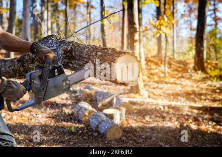 After hurricane professional utility man cuts broken trunk tree with use of chainsaw Stock Photo