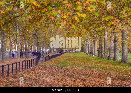 London, UK. 16th November 2022: Autumn colours in St James's Park. Stock Photo